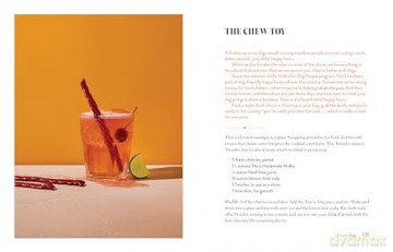 Spirit in a Bottle: Tales and Drinks from Tito's Handmade Vodka - Tito [KSIĄŻKA]