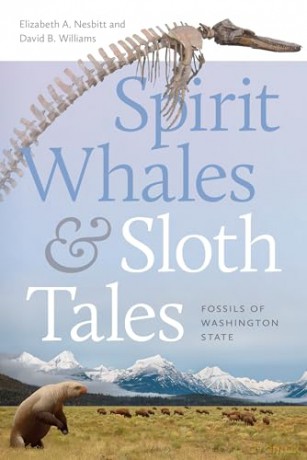 Spirit Whales and Sloth Tales: Fossils of Washington State - Elizabeth A Nesbitt [KSIĄŻKA]