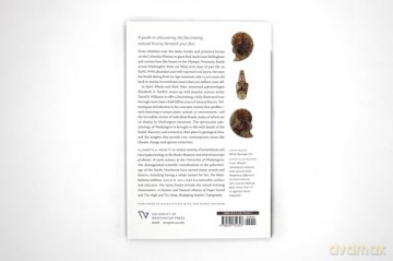 Spirit Whales and Sloth Tales: Fossils of Washington State - Elizabeth A Nesbitt [KSIĄŻKA]