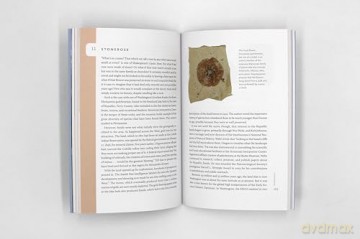 Spirit Whales and Sloth Tales: Fossils of Washington State - Elizabeth A Nesbitt [KSIĄŻKA]