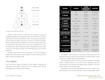 Spiritual Guidebook: Mastering psychic development and healing techniques (Planners) - Anna Comerford [KSIĄŻKA]