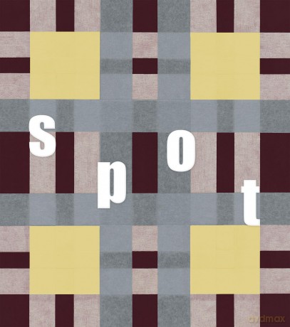 spot - Anna Lauren Lee [KSIĄŻKA]