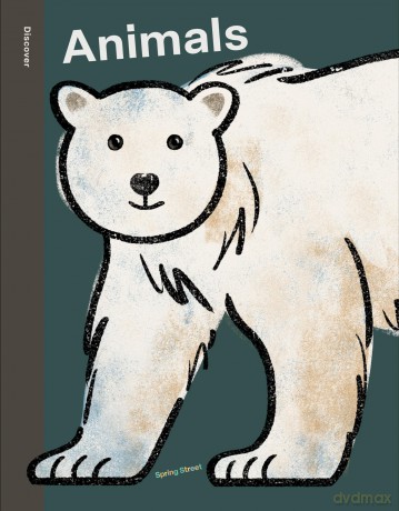 Spring Street Discover: Animals - Boxer Books [KSIĄŻKA]