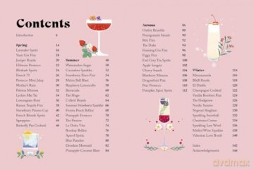 Spritz and Fizz: 60 cocktail recipes to pop the bubbles - Orange Hippo [KSIĄŻKA]
