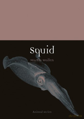 Squid (Animal) - Wallen Martin [KSIĄŻKA]