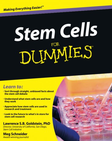 Stem Cells For Dummies - Lawrence Goldstein [KSIĄŻKA]