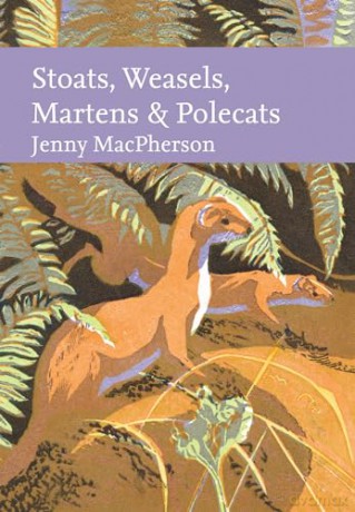 Stoats, Weasels, Martens and Polecats (Collins New Naturalist Library) - Jenny Macpherson [KSIĄŻKA]