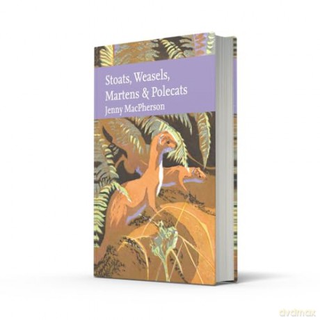 Stoats, Weasels, Martens and Polecats (Collins New Naturalist Library) - Jenny Macpherson [KSIĄŻKA]