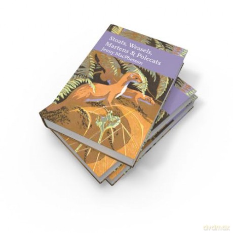 Stoats, Weasels, Martens and Polecats (Collins New Naturalist Library) - Jenny Macpherson [KSIĄŻKA]