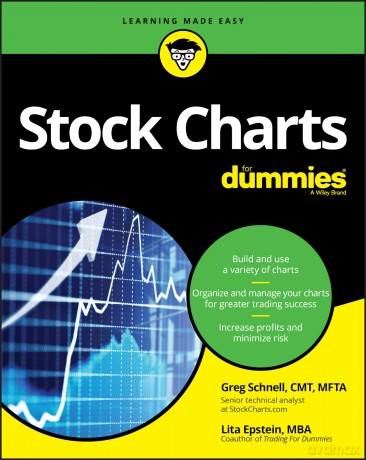 Stock Charts For Dummies - Greg Schnell [KSIĄŻKA]