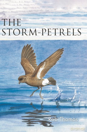 Storm-petrels - Rob Thomas [KSIĄŻKA]