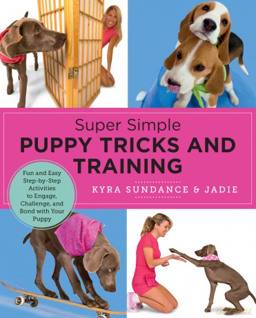 Super Simple Puppy Tricks and Training: Fun and Easy Step-by-Step Activities to Engage, Challenge, and Bond with Your Puppy - Kyra Sundance [KSIĄŻKA]