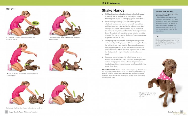 Super Simple Puppy Tricks and Training: Fun and Easy Step-by-Step Activities to Engage, Challenge, and Bond with Your Puppy - Kyra Sundance [KSIĄŻKA]