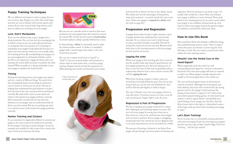Super Simple Puppy Tricks and Training: Fun and Easy Step-by-Step Activities to Engage, Challenge, and Bond with Your Puppy - Kyra Sundance [KSIĄŻKA]