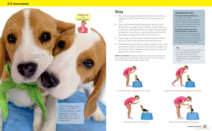 Super Simple Puppy Tricks and Training: Fun and Easy Step-by-Step Activities to Engage, Challenge, and Bond with Your Puppy - Kyra Sundance [KSIĄŻKA]