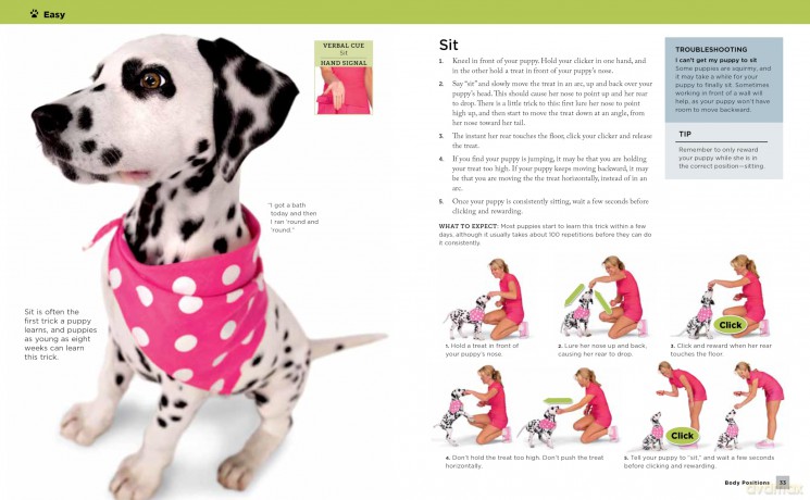 Super Simple Puppy Tricks and Training: Fun and Easy Step-by-Step Activities to Engage, Challenge, and Bond with Your Puppy - Kyra Sundance [KSIĄŻKA]