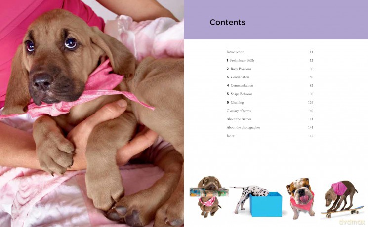Super Simple Puppy Tricks and Training: Fun and Easy Step-by-Step Activities to Engage, Challenge, and Bond with Your Puppy - Kyra Sundance [KSIĄŻKA]