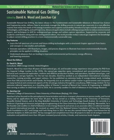 Sustainable Natural Gas Drilling: Technologies and Case Studies for the Energy Transition (The Fundamentals and Sustainable Advances in Natural Gas Science and Eng) - David Wood [KSIĄŻKA]