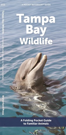 Tampa Bay Wildlife: A Folding Pocket Guide to Familiar Animals (Pocket Naturalist Guide) - Waterford Press [KSIĄŻKA]