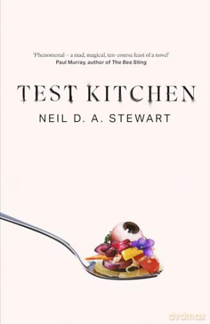 Test Kitchen - Neil D A Stewart [KSIĄŻKA]
