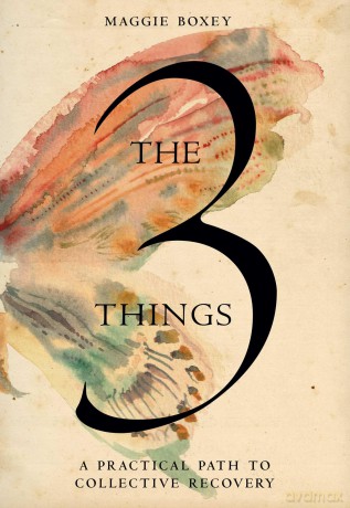 The 3 Things: A Practical Path to Collective Recovery - Maggie Boxey [KSIĄŻKA]