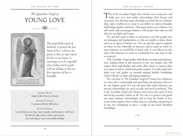 The Angel Oracle: Working with the angels for guidance, inspiration and love - Ambika Wauters [KSIĄŻKA]