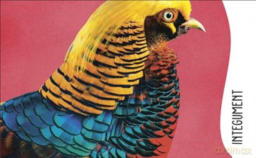 The Animal Body Book: An Insider's Guide to the World of Animal Anatomy - Jess French [KSIĄŻKA]