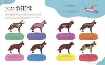 The Animal Body Book: An Insider's Guide to the World of Animal Anatomy - Jess French [KSIĄŻKA]