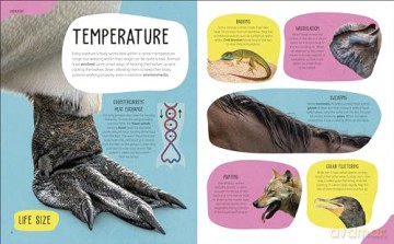 The Animal Body Book: An Insider's Guide to the World of Animal Anatomy - Jess French [KSIĄŻKA]