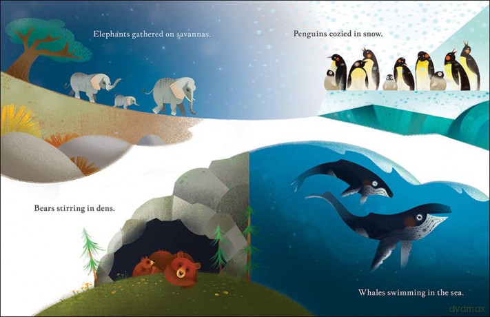 The Animals Speak: A Christmas Eve Legend - Marion Dane Bauer [KSIĄŻKA]
