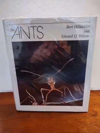 The Ants [KSIĄŻKA]
