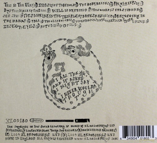 Devendra Banhart: Rejoicing In The Hands [CD]