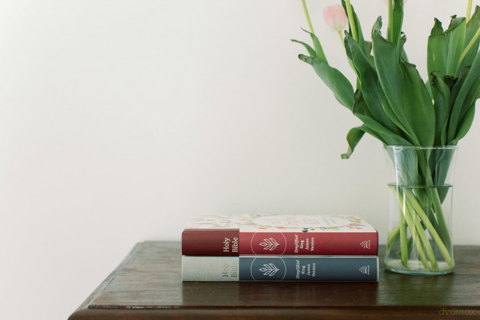 The Barbour Simplified KJV (Wildflower Medley): The Simplified KJV Wildflower Medley - Compiled By Barbour [KSIĄŻKA]