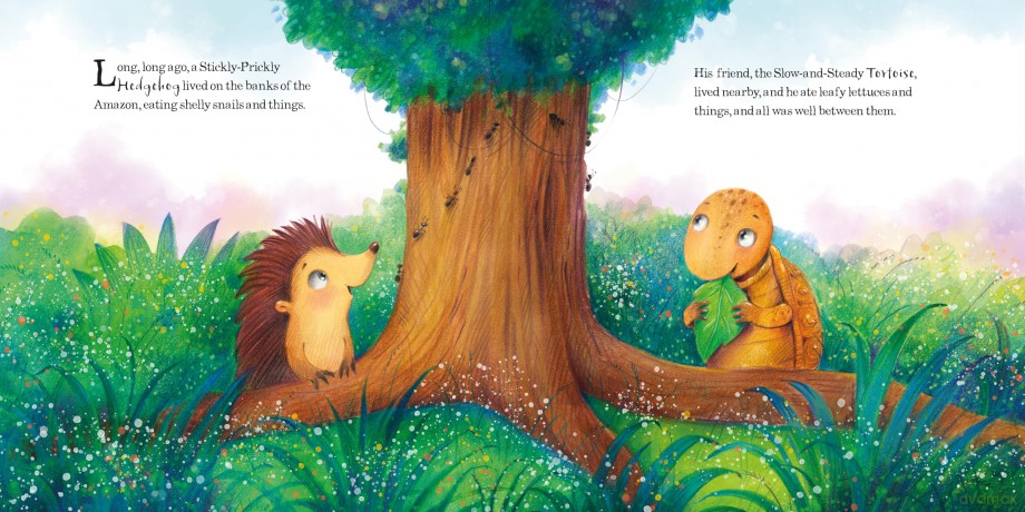 The Beginning of the Armadillos (Square Paperback Storybooks) - Anna Clothier [KSIĄŻKA]