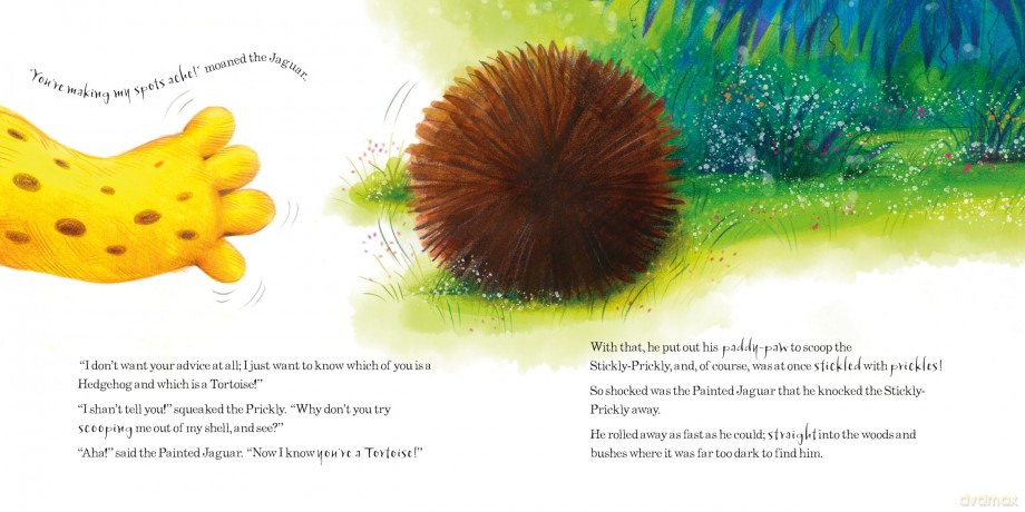 The Beginning of the Armadillos (Square Paperback Storybooks) - Anna Clothier [KSIĄŻKA]