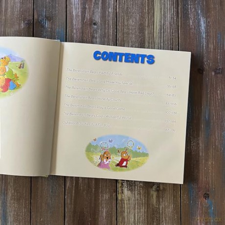 The Berenstain Bears Let's Go Play Collection: 6 Books in 1 (Berenstain Bears/Living Lights: A Faith Story) - Mike Berenstain [KSIĄŻKA]