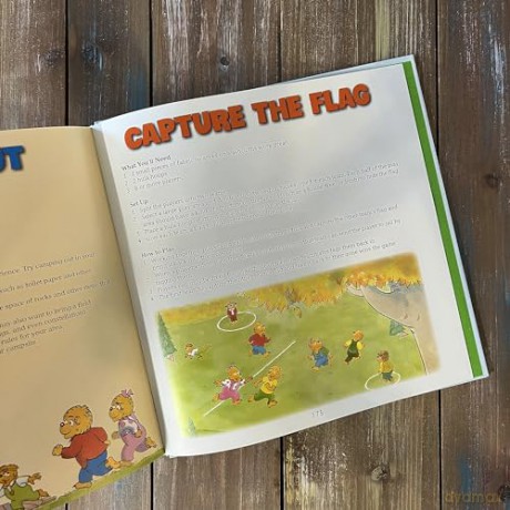 The Berenstain Bears Let's Go Play Collection: 6 Books in 1 (Berenstain Bears/Living Lights: A Faith Story) - Mike Berenstain [KSIĄŻKA]