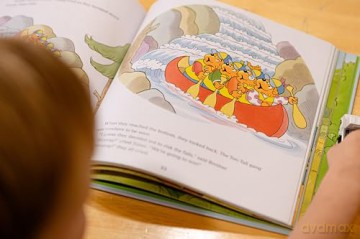 The Berenstain Bears Let's Go Play Collection: 6 Books in 1 (Berenstain Bears/Living Lights: A Faith Story) - Mike Berenstain [KSIĄŻKA]