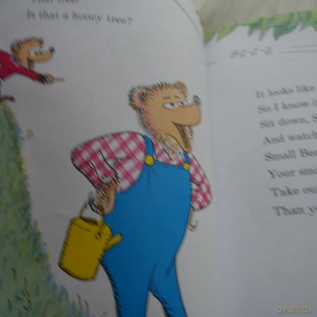 The Big Honey Hunt (Beginner Series) - Stan Berenstain [KSIĄŻKA]
