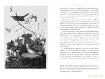 The Birds That Audubon Missed: Discovery and Desire in the American Wilderness - Kenn Kaufman [KSIĄŻKA]