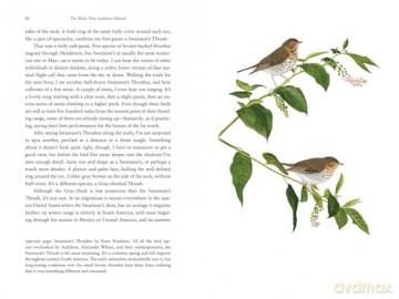 The Birds That Audubon Missed: Discovery and Desire in the American Wilderness - Kenn Kaufman [KSIĄŻKA]