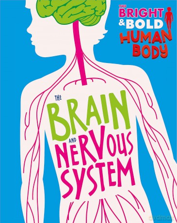 The Brain and Nervous System - Izzi Howell [KSIĄŻKA]