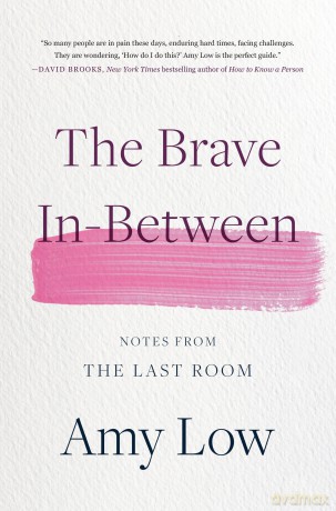 The Brave In-Between: Notes from the Last Room - Amy Low [KSIĄŻKA]