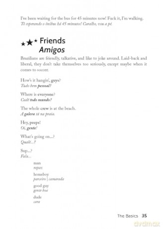 The Brazilian-Portuguese Slang Phrasebook: The Ultimate Soccer Fan's Guide to Slang, Music, Fun and Futebol - Alice Et Al Rose [KSIĄŻKA]