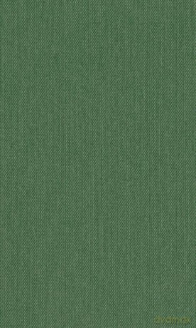 The Bright-Meyler Papers: A Bristol-West India Connection, 1732-1837: Vol 40 (Records of Social and Economic History (New Series)) [KSIĄŻKA]