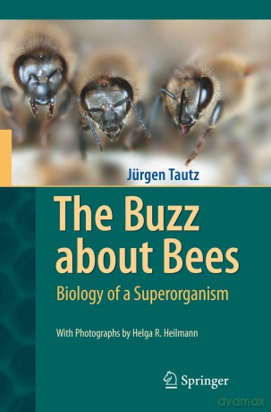 The Buzz about Bees: Biology of a Superorganism - J Rgen Tautz [KSIĄŻKA]