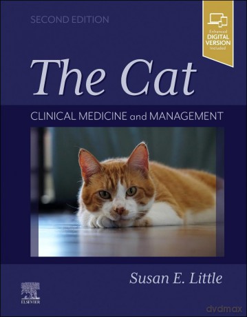THE CAT: Clinical Medicine and Management - Susan Little [KSIĄŻKA]