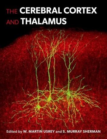 The Cerebral Cortex and Thalamus [KSIĄŻKA]