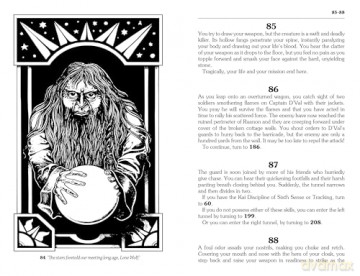 The Chasm of Doom: Lone Wolf Junior Edition 4: Lone Wolf #4 - Joe Dever [KSIĄŻKA]