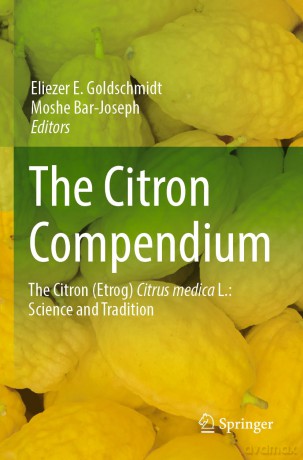 The Citron Compendium: The Citron (Etrog) Citrus medica L.: Science and Tradition - Eliezer Goldschmidt [KSIĄŻKA]